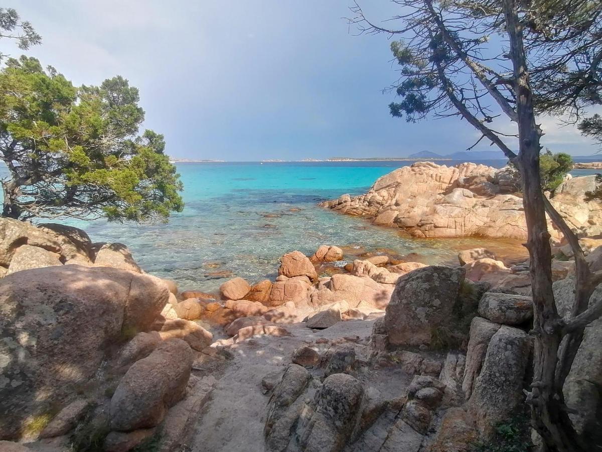 Domus Smeralda Porto Cervo Ngoại thất bức ảnh